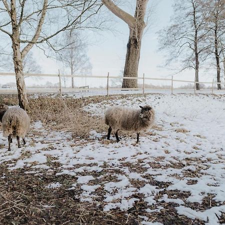 Our Farm Ferienwohnung Grasberg Zewnętrze zdjęcie