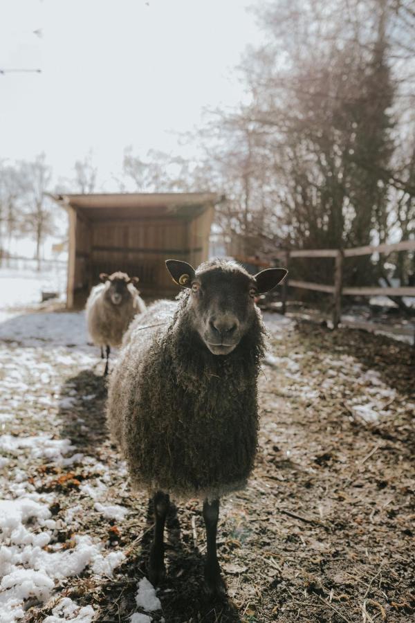 Our Farm Ferienwohnung Grasberg Zewnętrze zdjęcie